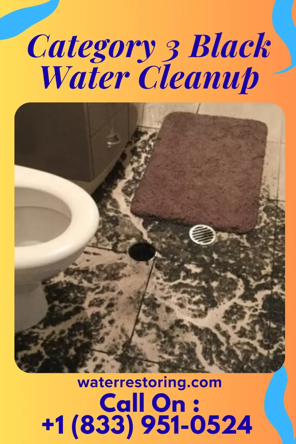Category 3 Black Water Cleanup in New Boston, PA