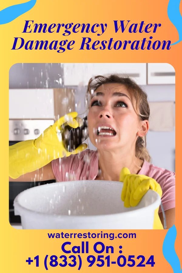 Emergency Water Damage Restoration in New Boston, PA