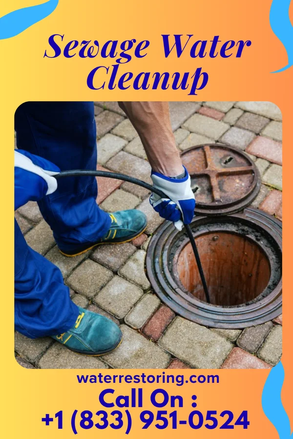 Sewage Water Cleanup in New Boston, PA