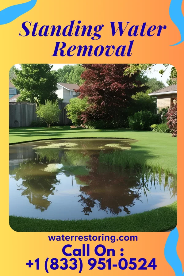 Standing Water Removal in New Boston, PA